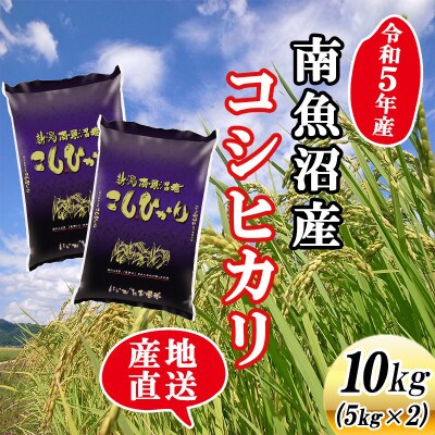 【令和5年産】新潟県南魚沼産コシヒカリ10kg