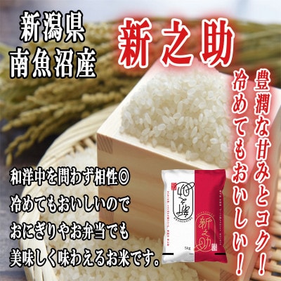 【令和5年産】新潟県南魚沼産新之助5kg
