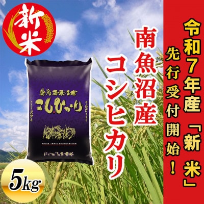 【先行受付】南魚沼産コシヒカリ5kg<2025年11月上旬発送開始予定>