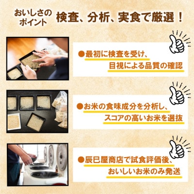 南魚沼産コシヒカリ5kg＜2024年11月上旬発送開始予定＞