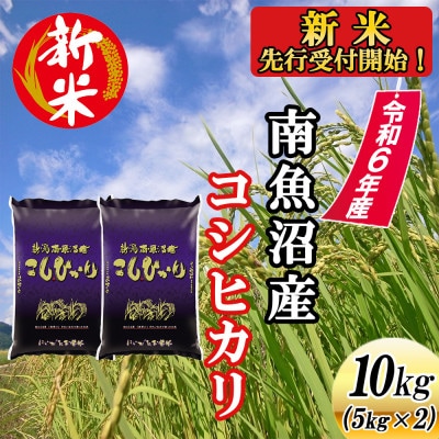 南魚沼産コシヒカリ10kg＜2024年11月上旬発送開始予定＞