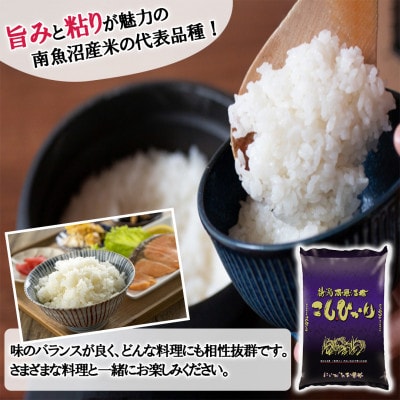 【先行受付】南魚沼産コシヒカリ10kg<2025年11月上旬発送開始予定>