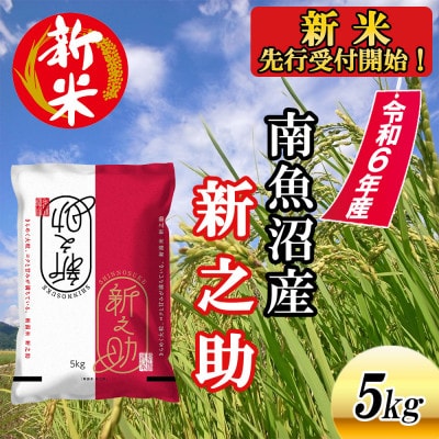 南魚沼産新之助5kg＜2024年11月上旬発送開始予定＞