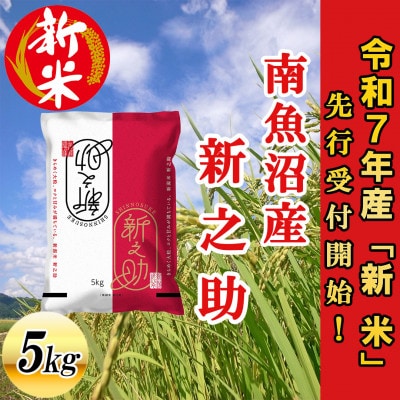 【先行受付】南魚沼産新之助5kg<2025年11月上旬発送開始予定>