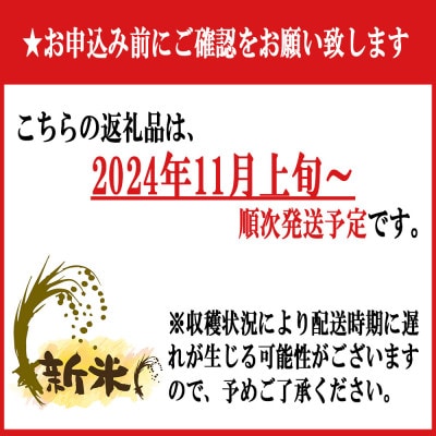 南魚沼産新之助5kg＜2024年11月上旬発送開始予定＞