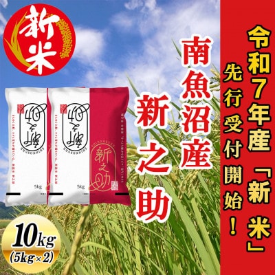 【先行受付】南魚沼産新之助10kg<2025年11月上旬発送開始予定>