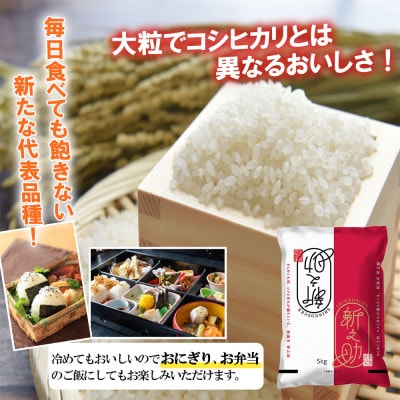 南魚沼産新之助10kg＜2024年11月上旬発送開始予定＞