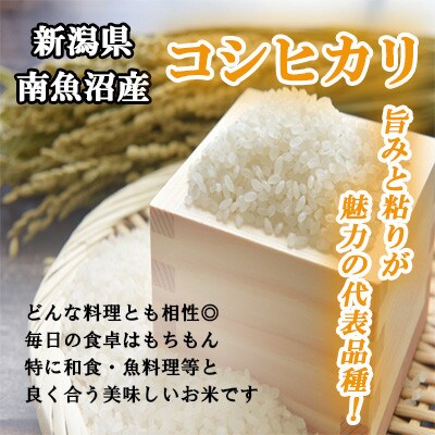 令和4年産　新潟県南魚沼産コシヒカリ2kg