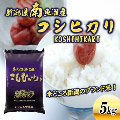 令和6年産 新潟県南魚沼産 コシヒカリ(精米)5kg