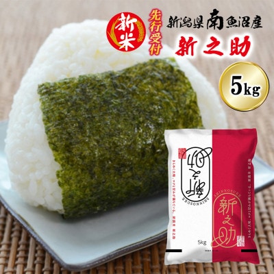 【先行受付】南魚沼産新之助 精米 5kg[2026年11月上旬発送開始予定]
