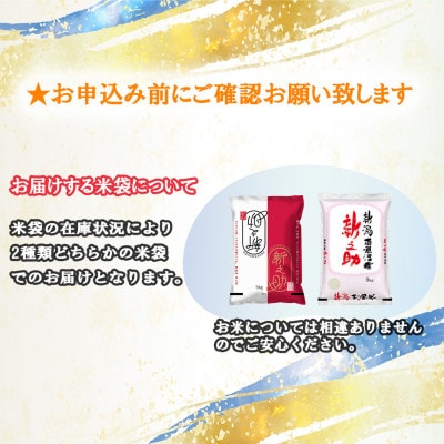 【先行受付】南魚沼産新之助 精米 5kg[2026年11月上旬発送開始予定]