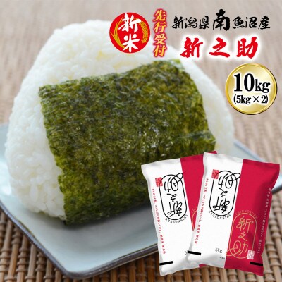 【先行受付】南魚沼産新之助 精米 10kg[2026年11月上旬発送開始予定]
