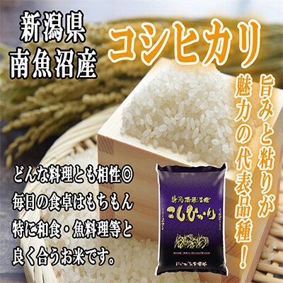 【毎月定期便】南魚沼産コシヒカリ2kg全12回