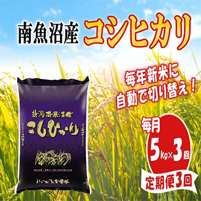 【毎月定期便】南魚沼産コシヒカリ5kg 全3回