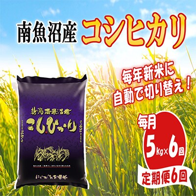 【毎月定期便】南魚沼産コシヒカリ5kg全6回