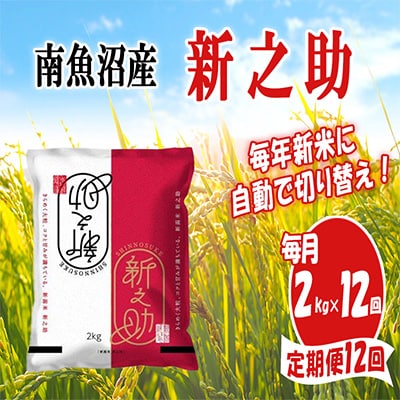 【毎月定期便】南魚沼産新之助2kg全12回