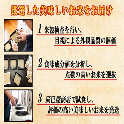 【毎月定期便】南魚沼産新之助5kg 全3回