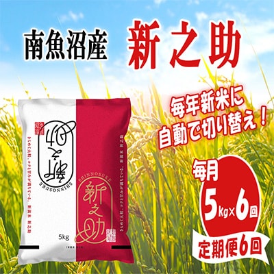 【毎月定期便】南魚沼産新之助5kg全6回