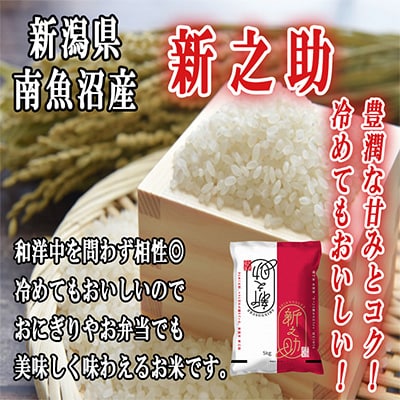 【毎月定期便】南魚沼産新之助5kg全6回