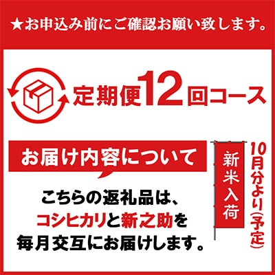 【発送月固定定期便】【毎月交互に1品種ずつ発送】南魚沼産コシヒカリ・新之助 各5kg　全12回