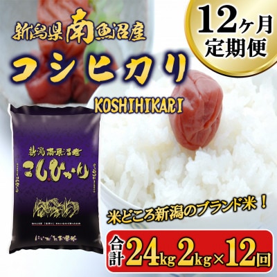 【毎月定期便】南魚沼産コシヒカリ 精米 2kg全12回