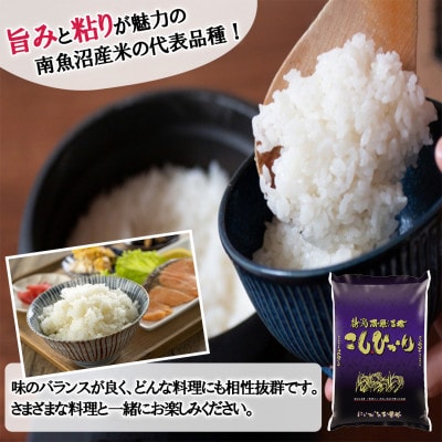 【毎月定期便】南魚沼産コシヒカリ 精米 2kg全12回
