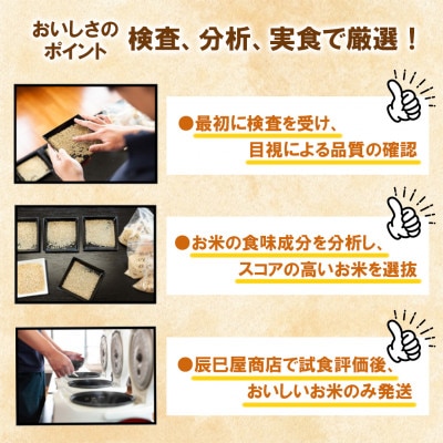 【毎月定期便】南魚沼産コシヒカリ 精米 2kg全12回