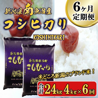 【毎月定期便】南魚沼産コシヒカリ 精米 4kg全6回