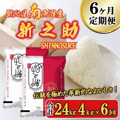【毎月定期便】南魚沼産新之助 精米 4kg全6回