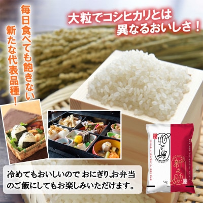 【毎月定期便】南魚沼産新之助 精米 4kg全6回