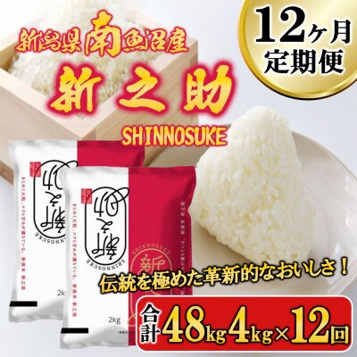 【毎月定期便】南魚沼産新之助 精米 4kg全12回