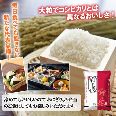 【毎月定期便】南魚沼産新之助 精米 4kg全12回