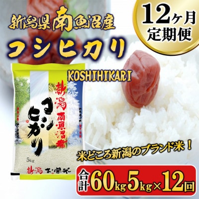 【毎月定期便】南魚沼産コシヒカリ(精米) 5kg全12回