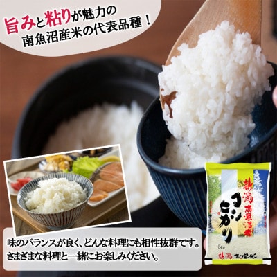 【毎月定期便】南魚沼産コシヒカリ(精米) 5kg全12回
