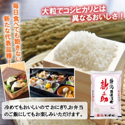 【毎月定期便】南魚沼産新之助(精米) 5kg全3回