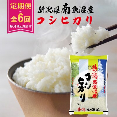 【毎月定期便】南魚沼産コシヒカリ 5kg全6回