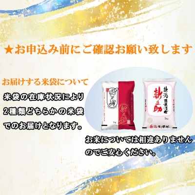 【毎月定期便】南魚沼産新之助 5kg全3回