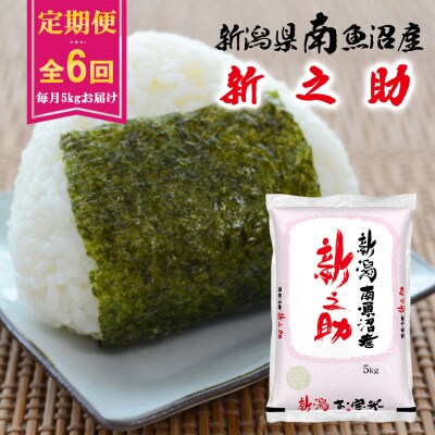 【毎月定期便】南魚沼産新之助 5kg全6回