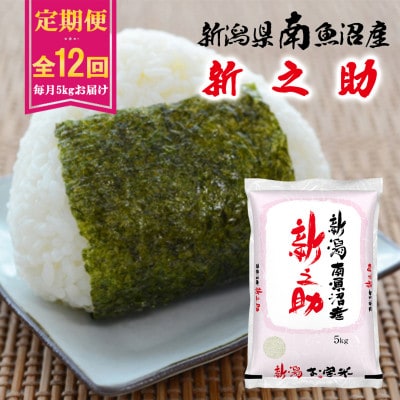 【毎月定期便】南魚沼産新之助 5kg全12回