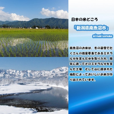 【毎月定期便】南魚沼産新之助 5kg全12回