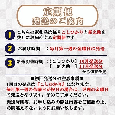 2022年7月発送開始『定期便』米どころのお米屋厳選 南魚沼産こしひかり・新之助10kg 全6回