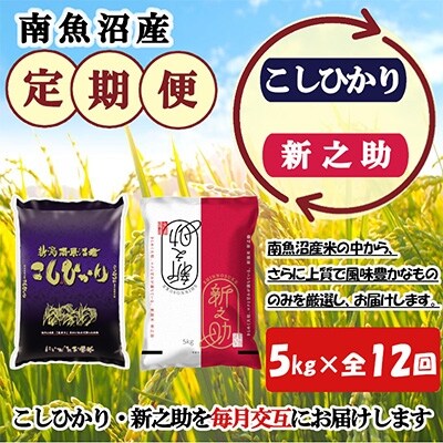 2022年1月発送開始『定期便』米どころのお米屋厳選　南魚沼産こしひかり・新之助5kg　全12回