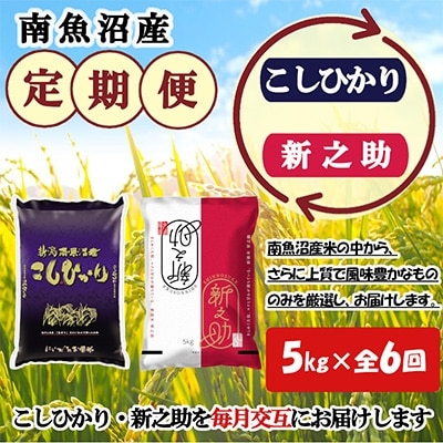 2022年6月発送開始『定期便』米どころのお米屋厳選　南魚沼産こしひかり・新之助5kg　全6回