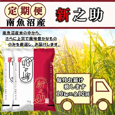 2022年7月発送開始『定期便』米どころのお米屋厳選　南魚沼産新之助10kg　全12回