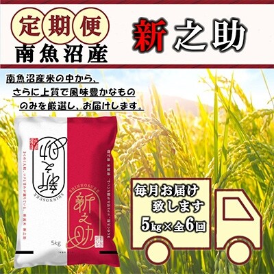 2022年3月発送開始『定期便』米どころのお米屋厳選　南魚沼産新之助5kg　全6回