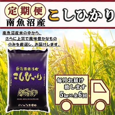 2022年3月発送開始『定期便』米どころのお米屋厳選　南魚沼産こしひかり5kg　全6回