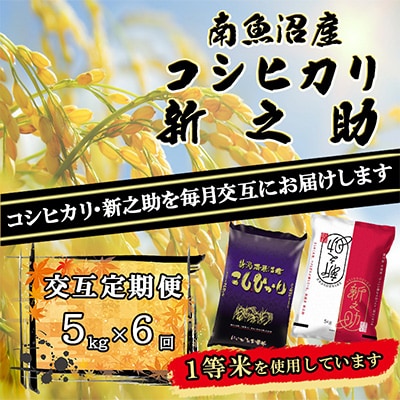 2023年3月発送開始『定期便』南魚沼産厳選二銘柄5kg全6回