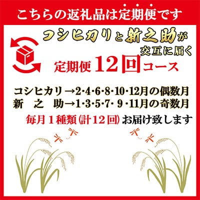 2023年3月発送開始『定期便』南魚沼産厳選二銘柄5kg全12回