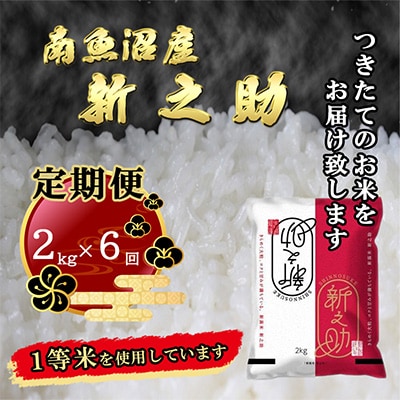 2023年5月発送開始『定期便』南魚沼産新之助2kg全6回