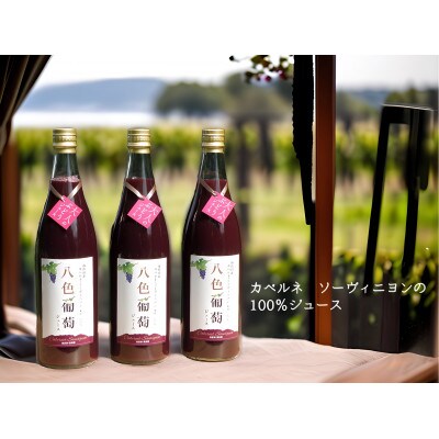 南魚沼産カベルネ・ソーヴィニヨン　八色葡萄ジュース　3本セット